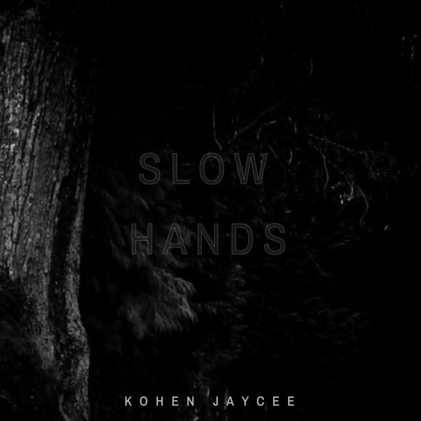 kohen-jaycee-slow-hands-album-cover