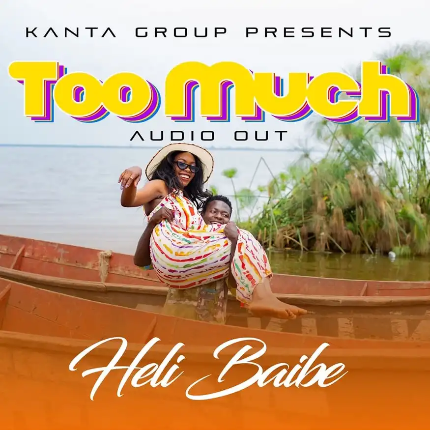 heli-baibe-too-much-album-cover