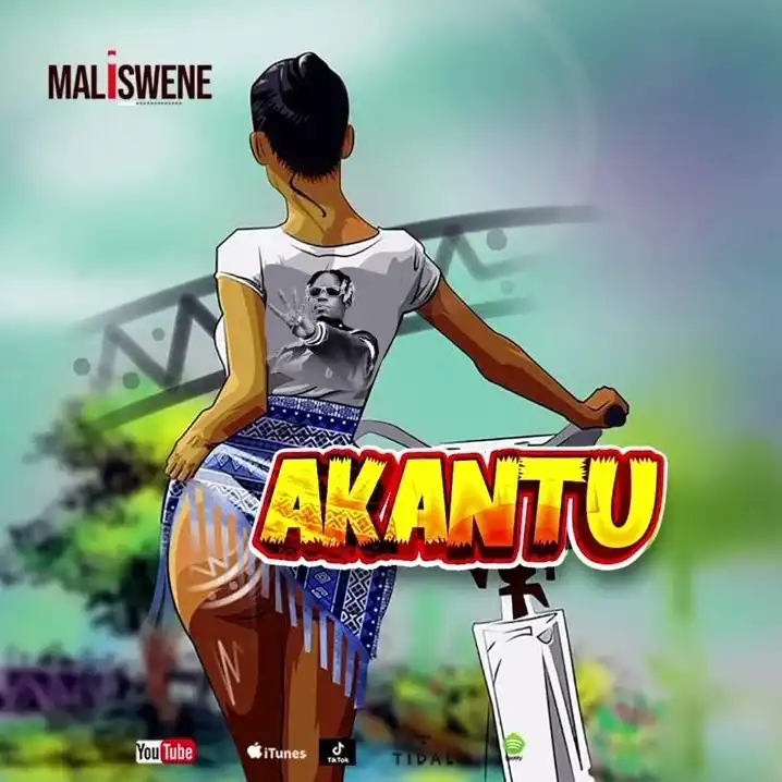 maliswene-akantu-album-cover