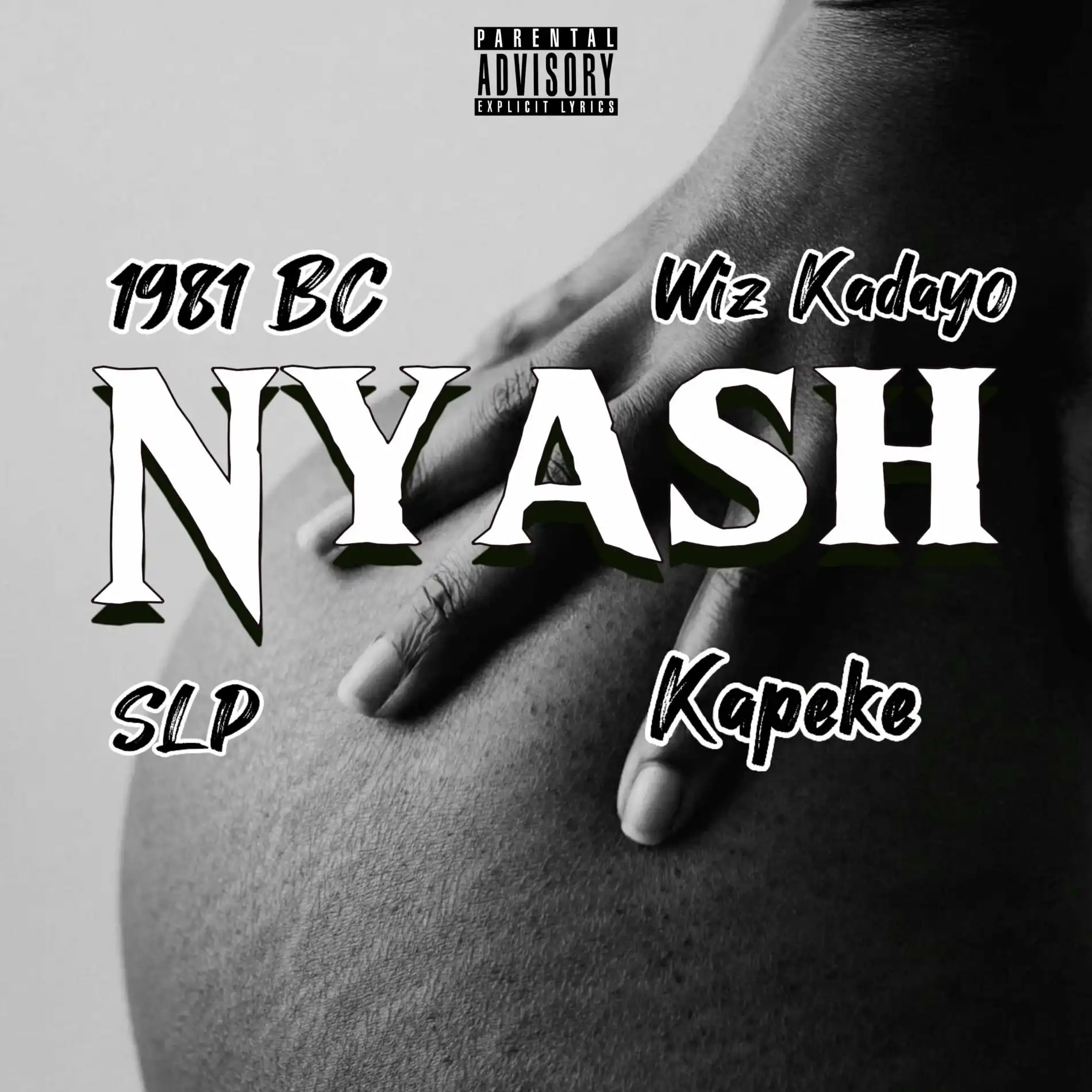 wiz-kadayo-nyash-album-cover