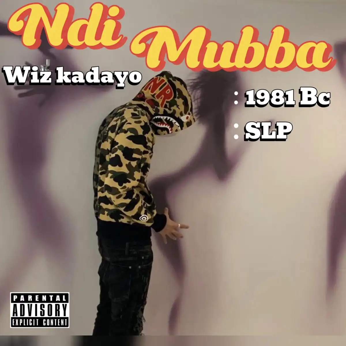 wiz-kadayo-ndi-muba-album-cover