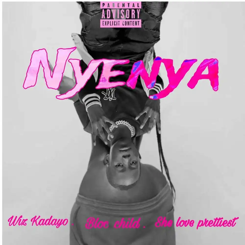 wiz-kadayo-nyenya-album-cover