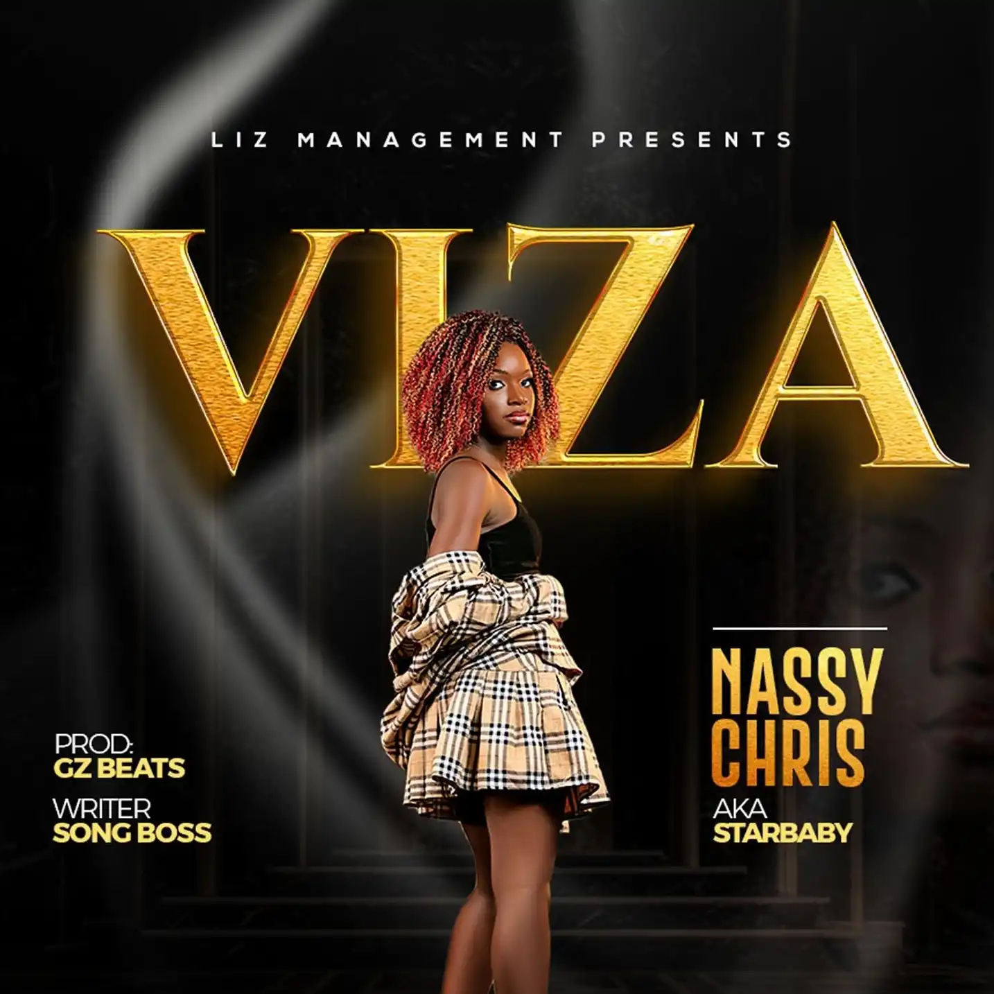 nassy-chris-viza-album-cover