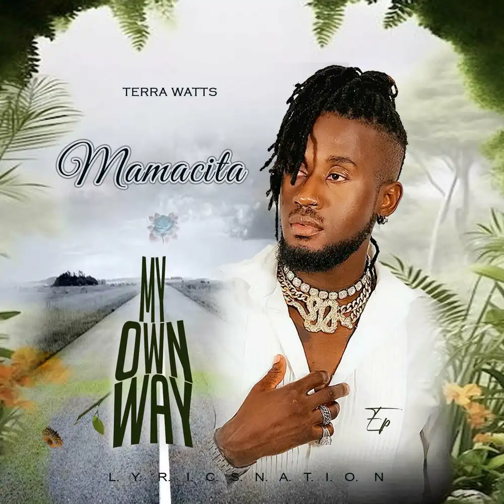 terra-watts-mamacita-radio-edit-album-cover