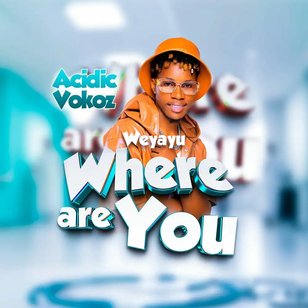 acidic-vokoz-weyayu-where-are-you-album-cover