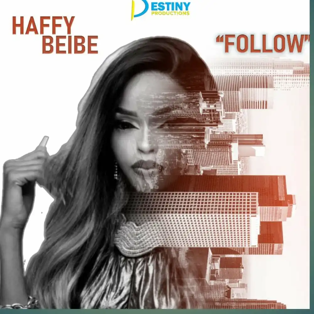 haffy-beibe-follow-album-cover