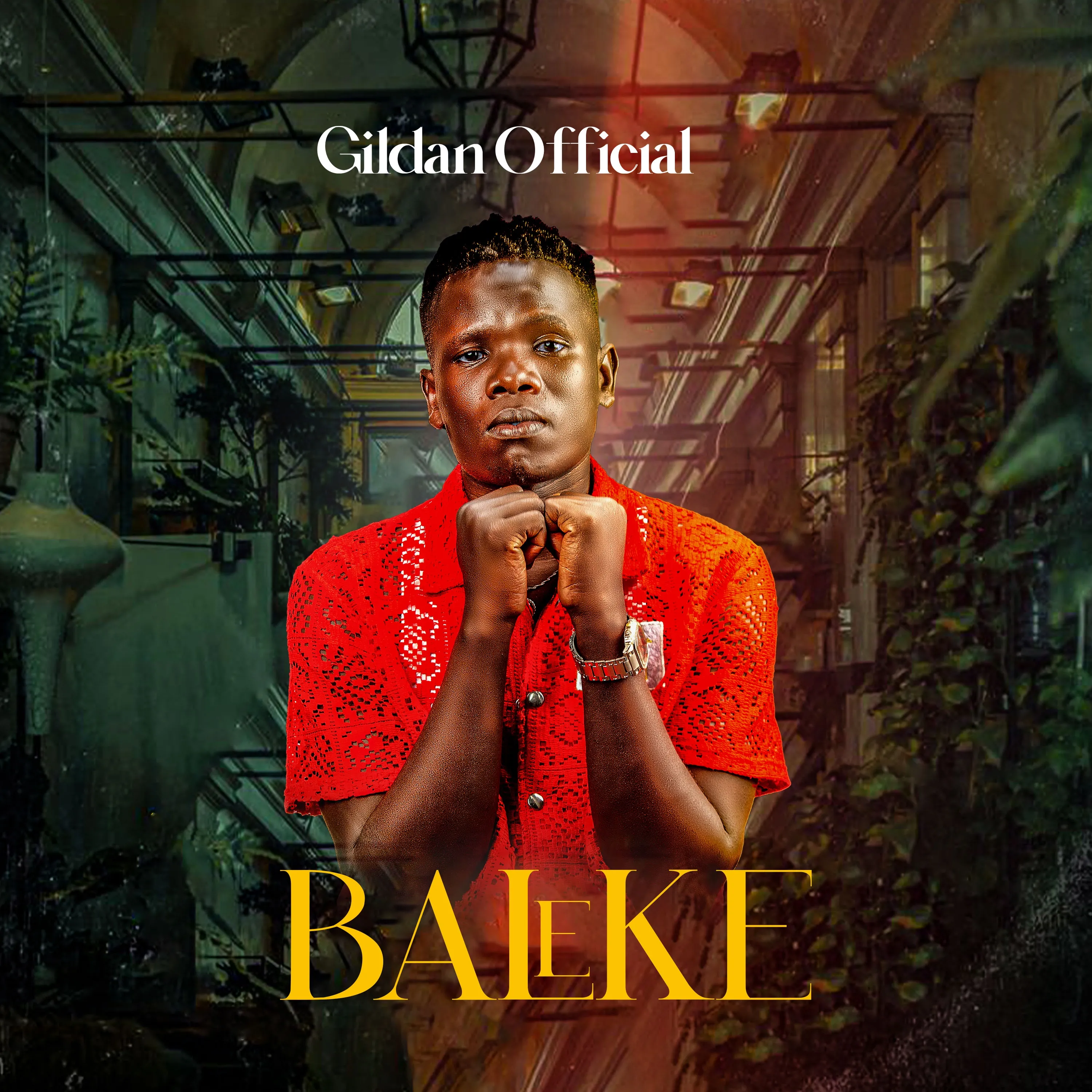gildan-official-baleke-album-cover