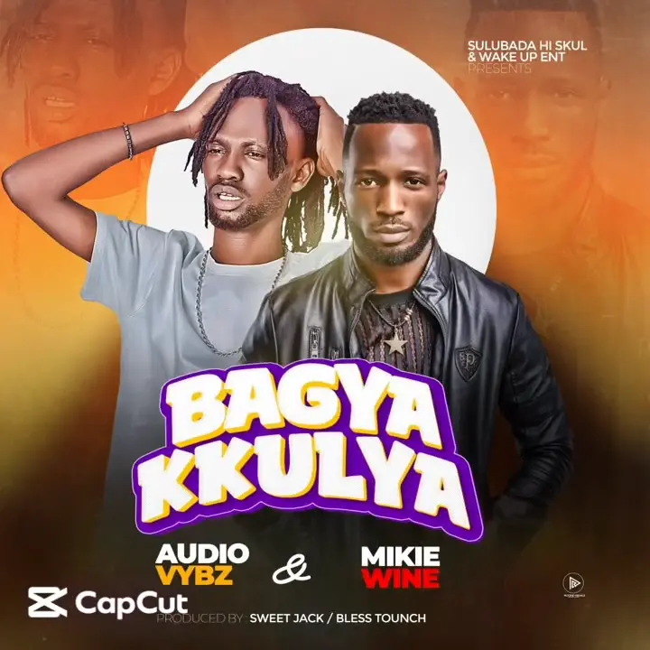 audio-vybz-bagya-kkulya-album-cover