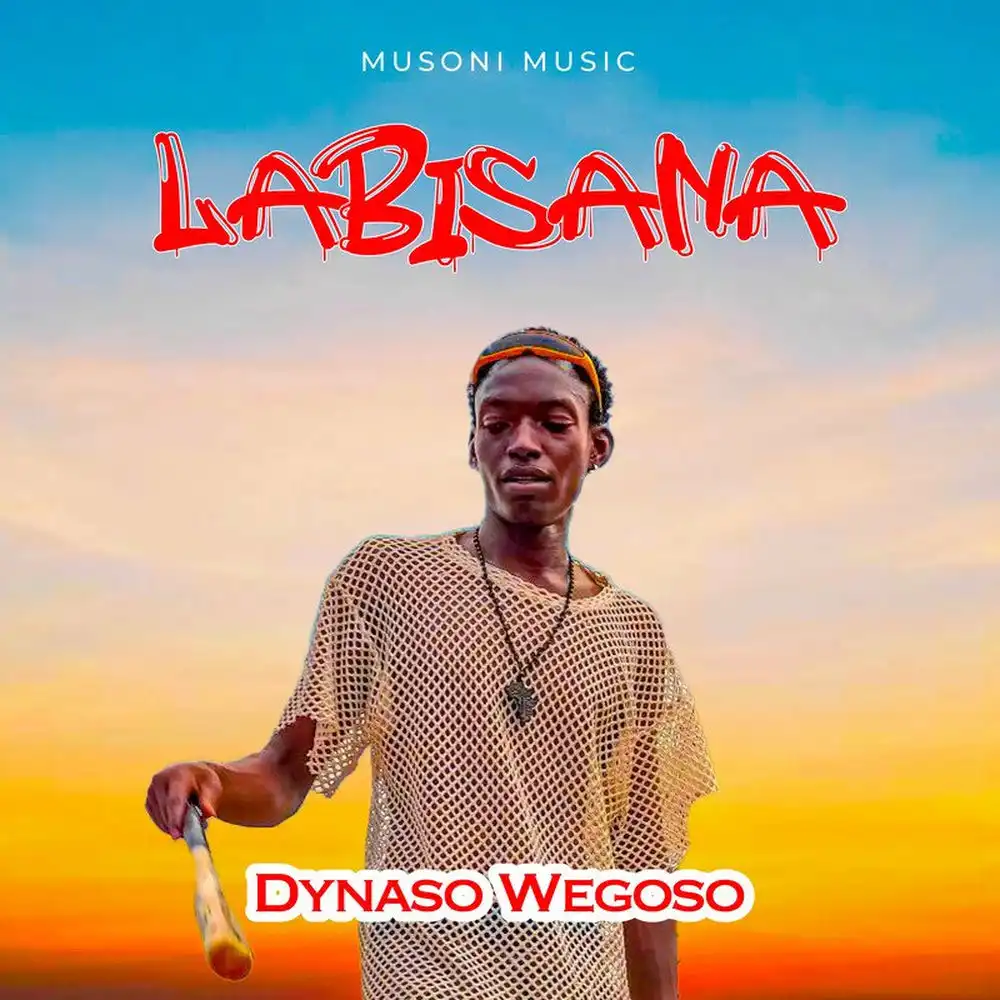 dynaso-wegoso-labisana-album-cover