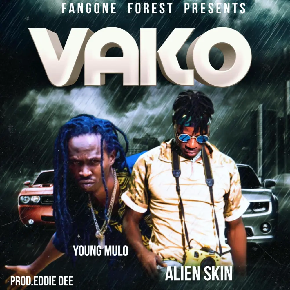 alien-skin-vako-album-cover