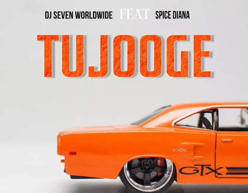 spice-diana-tujooge-album-cover
