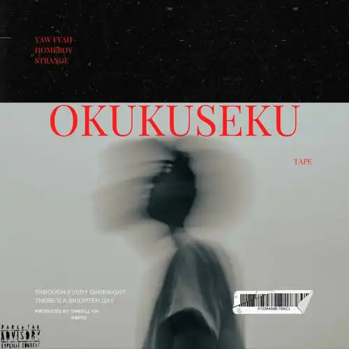 liam-voice-okyuse-nyo-album-cover