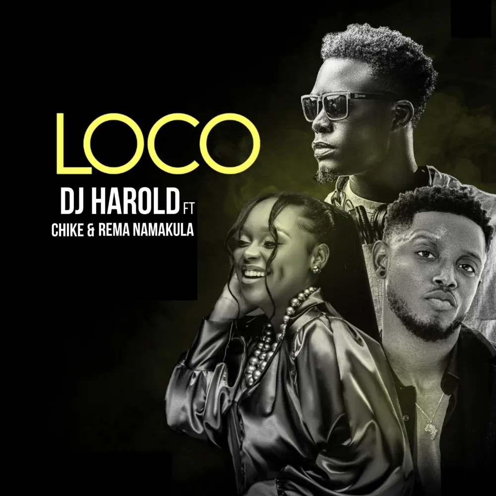 rema-namakula-loco-album-cover