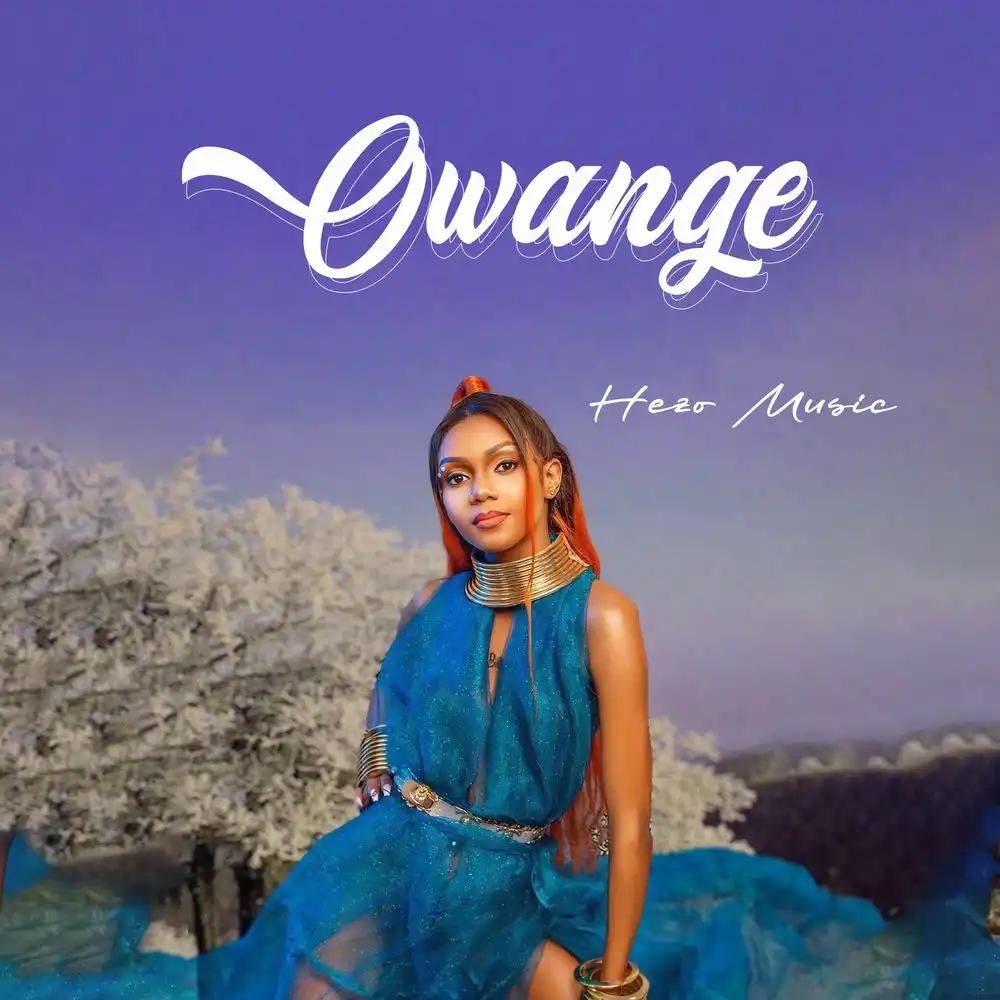 hezo-music-owange-album-cover