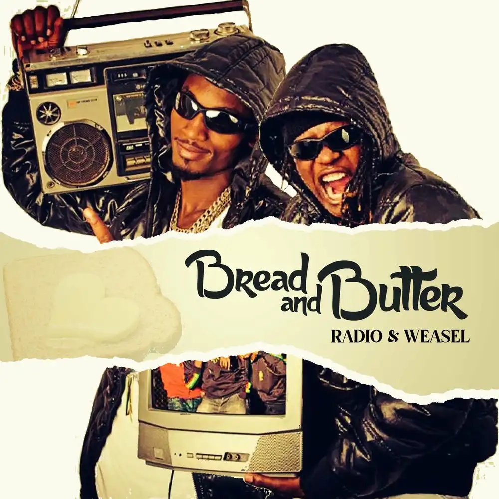 radio-weasel-kiduula-album-cover