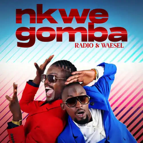 radio-weasel-hallo-album-cover