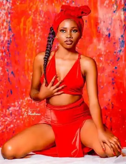 danra-zina-album-cover