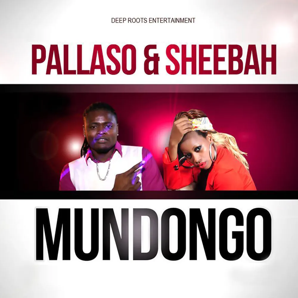 pallaso-mudongo-album-cover