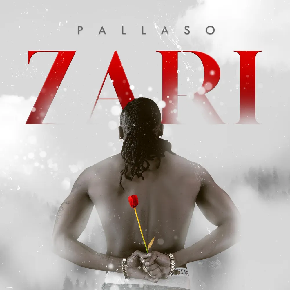 pallaso-zari-album-cover