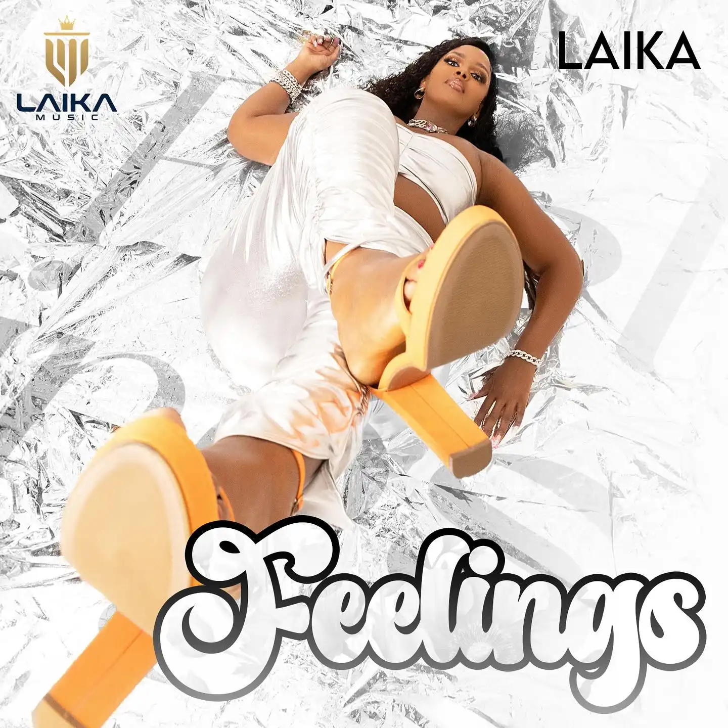 laika-feelings-album-cover