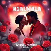 Njalwala (remix) - AaronX ft. Sheebah
