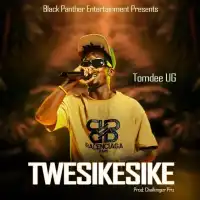 Twesikesike Lyrics - TomDee UG 