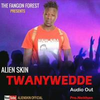 Twanywedde Lyrics - Alien Skin 