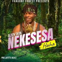 Nekesesa Lyrics - Alien Skin 