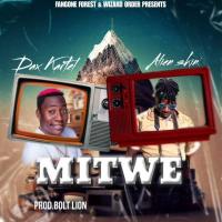 Mitwe Lyrics - Alien Skin ft. Dax Kartel