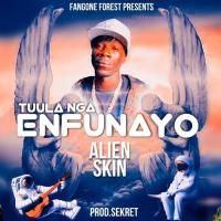 Enfunayo Lyrics - Alien Skin 