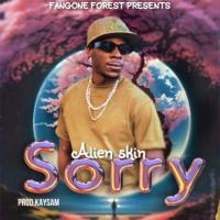 Sorry Lyrics - Alien Skin 