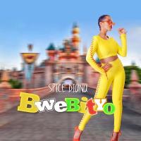 Bwebityo Lyrics - Spice Diana 