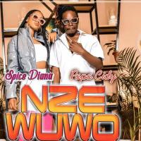 Nze Wuwo - Spice Diana ft. Papa Cidy