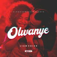 Olwanye Lyrics - Liam Voice 