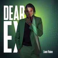 Dear Ex Lyrics - Liam Voice 