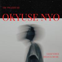 Okyuse Nyo Lyrics - TIK Twazzitah ft. Liam Voice, Delicia Music