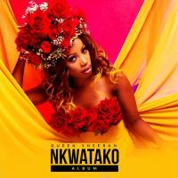 Nkwatako - Album by Sheebah