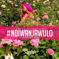 Ndiwanjawulo Lyrics - Sheebah 