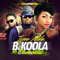 Bikoola Lyrics - Irene Ntale ft. Radio & Weasel