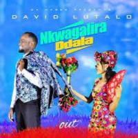 Nkwagalila Ddala Lyrics - David Lutalo 