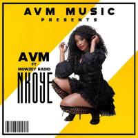 Nkoye Lyrics - AVM ft. Mowzey Radio