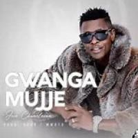 Gwanga Mujje Lyrics - Jose Chameleone 