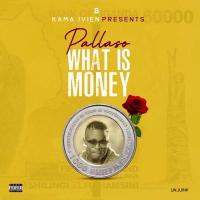 What is Money - Pallaso 