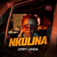 Nkulina Lyrics - Jowy Landa 