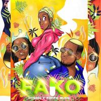 Fako Lyrics - Cosign Yenze, Feffe Bussi 