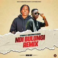 Ndi Bulungi (Remix) Lyrics - Vyroota ft. Rich King D'Lyrical