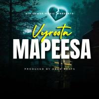 MAPEESA Lyrics - Vyroota 