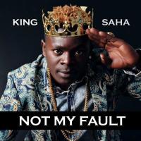 Not My Fault Lyrics - King Saha 