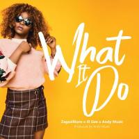 What It Do Lyrics - Zagazillions ft. Ill Gee, Andy Muzic