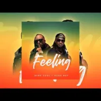 Feeling Lyrics - Bebe Cool ft. Rude Boy